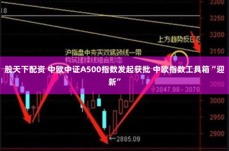 股天下配资 中欧中证A500指数发起获批 中欧指数工具箱“迎新”