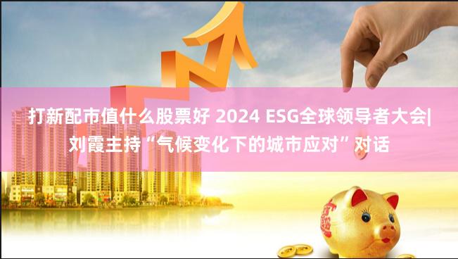 打新配市值什么股票好 2024 ESG全球领导者大会|刘霞主持“气候变化下的城市应对”对话