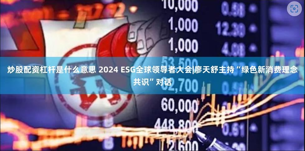 炒股配资杠杆是什么意思 2024 ESG全球领导者大会|廖天舒主持“绿色新消费理念共识”对话