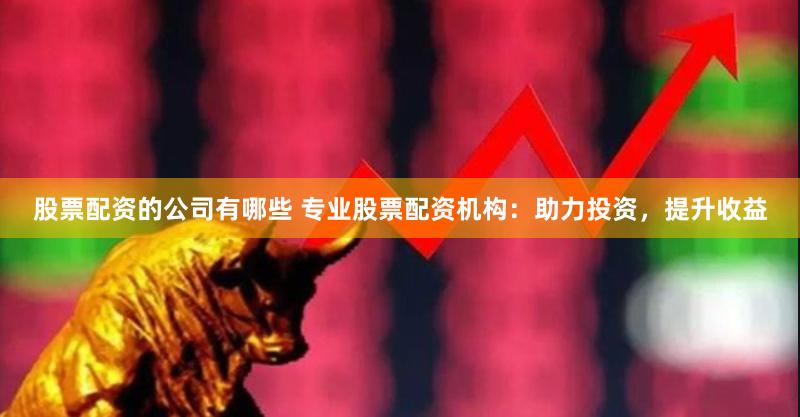 股票配资的公司有哪些 专业股票配资机构：助力投资，提升收益