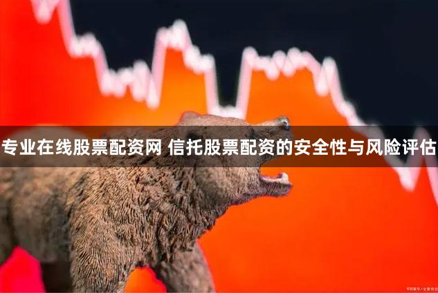 专业在线股票配资网 信托股票配资的安全性与风险评估